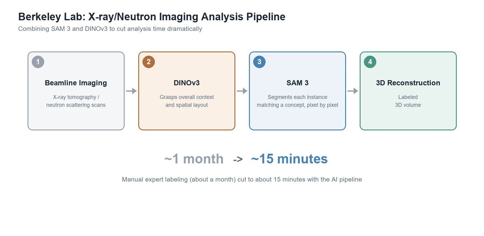 A four-step pipeline graphic — beamline imaging, DINOv3, SAM 3, 3D reconstruction — showing analysis time cut from about a month to about 15 minutes